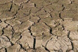 Carbon Sequestration Soil Capacity