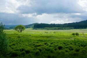 Panama Habitat in Danger from CDM Project
